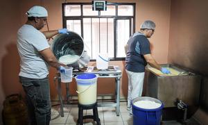 La empresa de Guillermo emplea compatriotas venezolanos.