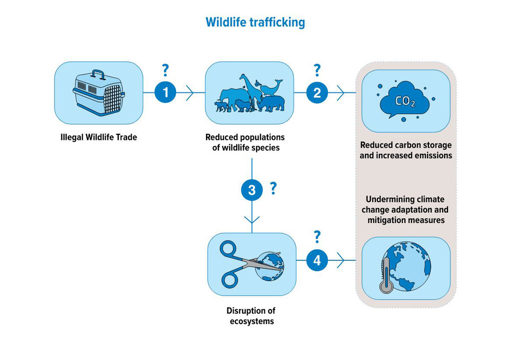 Harm to the environment and climate inflicted by illicit trafficking in wildlife species.