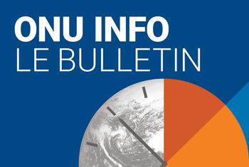 ONU Info Bulletin d'information français graphique