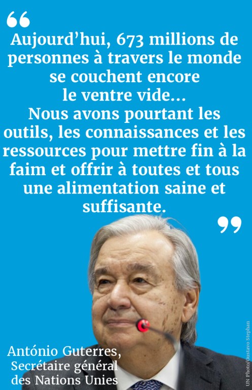Aujourd'hui, dans le monde, 673 millions de personnes se couchent encore chaque soir le ventre vide... Nous disposons des outils, des connaissances et des ressources nécessaires pour mettre fin à la faim et fournir une alimentation saine et de qualité à … Aujourd'hui, dans le monde, 673 millions de personnes se couchent encore chaque soir le ventre vide... Nous disposons des outils, des connaissances et des ressources nécessaires pour mettre fin à la faim et fournir une alimentation saine et de qualité à …