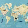 Глобальная карта миграции диких животных