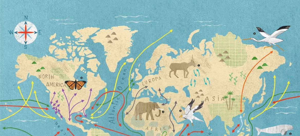 خارطة عالمية تبين هجرة الحيوانات