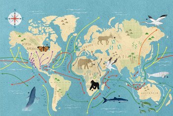 Глобальная карта миграции диких животных