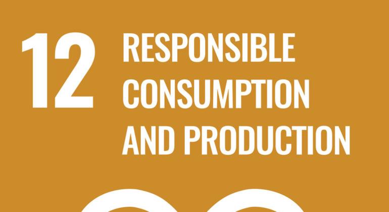 एसडीजी लक्ष्य 12: ज़िम्मेदार उपभोग और उत्पादन