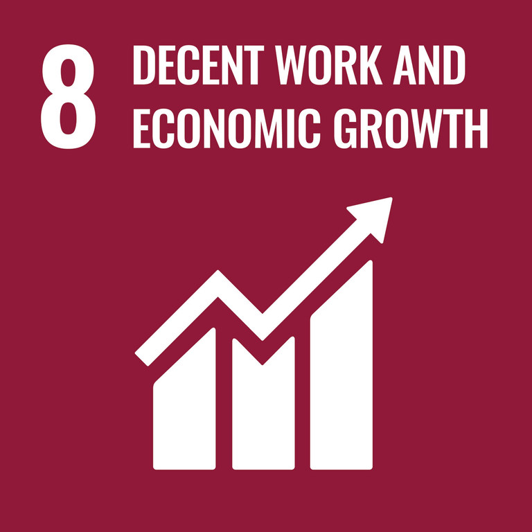 SDG Goal 8: Decent Work and Economic Growth