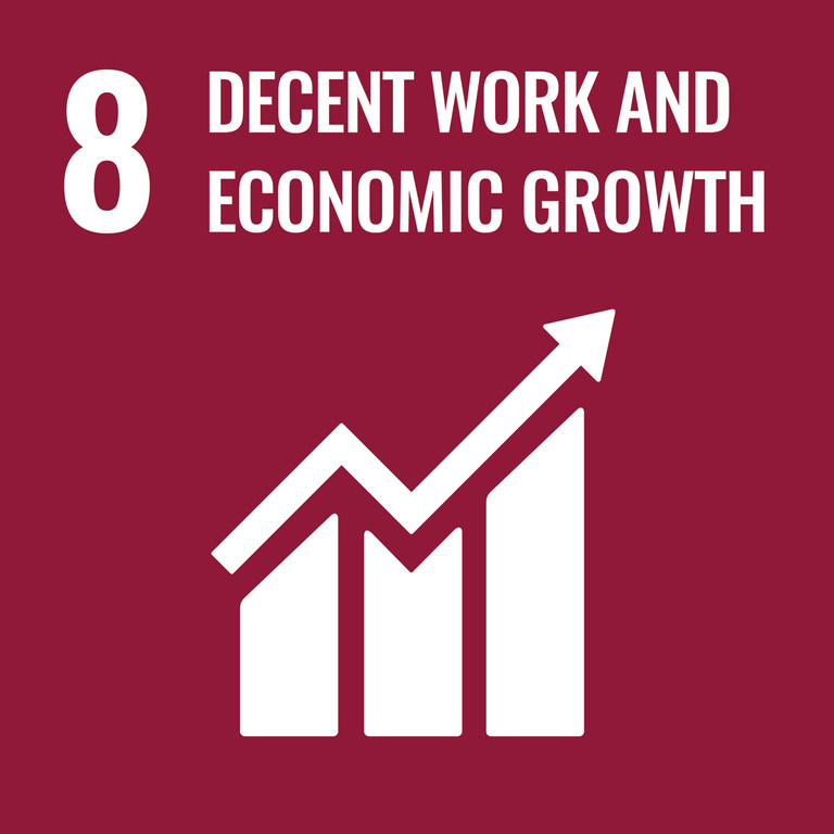 SDG 8 SDG 8