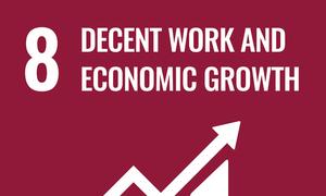 एसडीजी लक्ष्य 8: सभ्य कामकाज और आर्थिक विकास