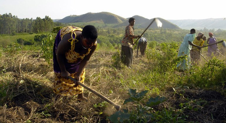 One in four adults fears losing their land : FAO calls for securing land rights