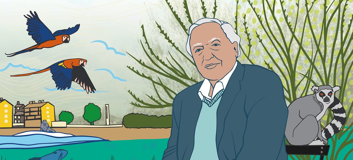A portrait of UNEP Champion Sir David Attenborough.