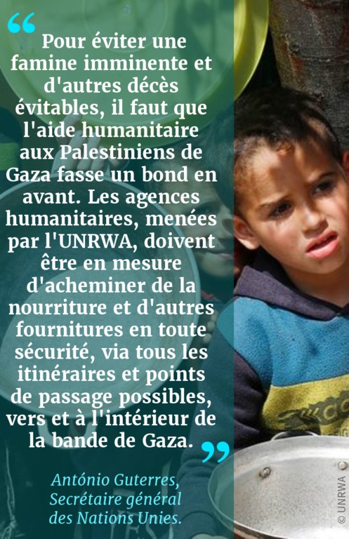 Pour éviter une famine imminente et d'autres décès évitables, il faut que l'aide humanitaire aux Palestiniens de Gaza fasse un bond en avant. Les agences humanitaires, menées par l'UNRWA, doivent être en mesure d'acheminer de la nourriture et d'autres fo…
