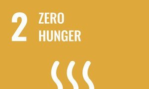 एसडीजी 2: ज़ीरो हन्ग्गर