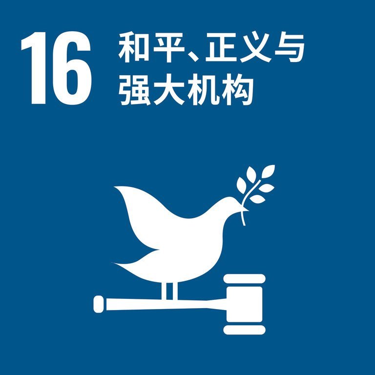 可持续发展目标16