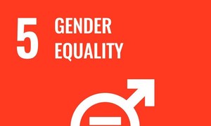 संयुक्त राष्ट्र,एसडीजी लक्ष्य 5: लैंगिक समानता.