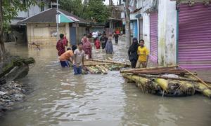 Flood-affected residents construct makeshift bamboo rafts to navigate submerged streets in Feni district, southeast Bangladesh.