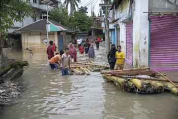 Flood-affected residents construct makeshift bamboo rafts to navigate submerged streets in Feni district, southeast Bangladesh.