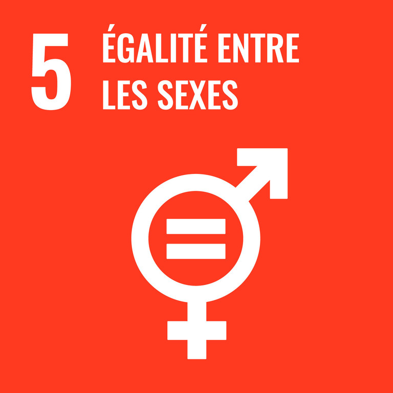 Logo SDG 5 en français, montrant le chiffre 5, le texte « Égalité entre les sexes » et un symbole combinant les signes des genres masculin et féminin avec un signe égal.