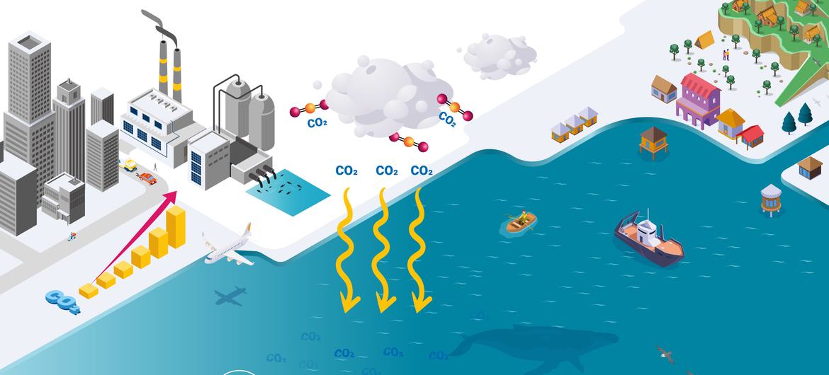 Когда СО2 растворяется в морской воде, он образует угольную кислоту.