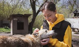 Participants of the UN-supported UPSHIFT programme have united to help animals in Kropyvnytskyi, Ukraine.