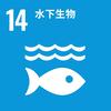 可持续发展目标14：水下生物