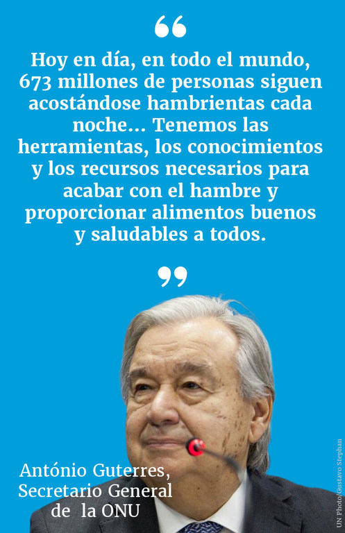 "Hoy, en todo el mundo, 673 millones de personas siguen acostándose con hambre cada noche... Tenemos las herramientas, los conocimientos y los recursos para acabar con el hambre y proporcionar alimentos buenos y sanos a todos." "Hoy, en todo el mundo, 673 millones de personas siguen acostándose con hambre cada noche... Tenemos las herramientas, los conocimientos y los recursos para acabar con el hambre y proporcionar alimentos buenos y sanos a todos."