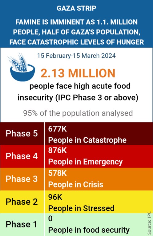  IPC acute food insecurity analysis