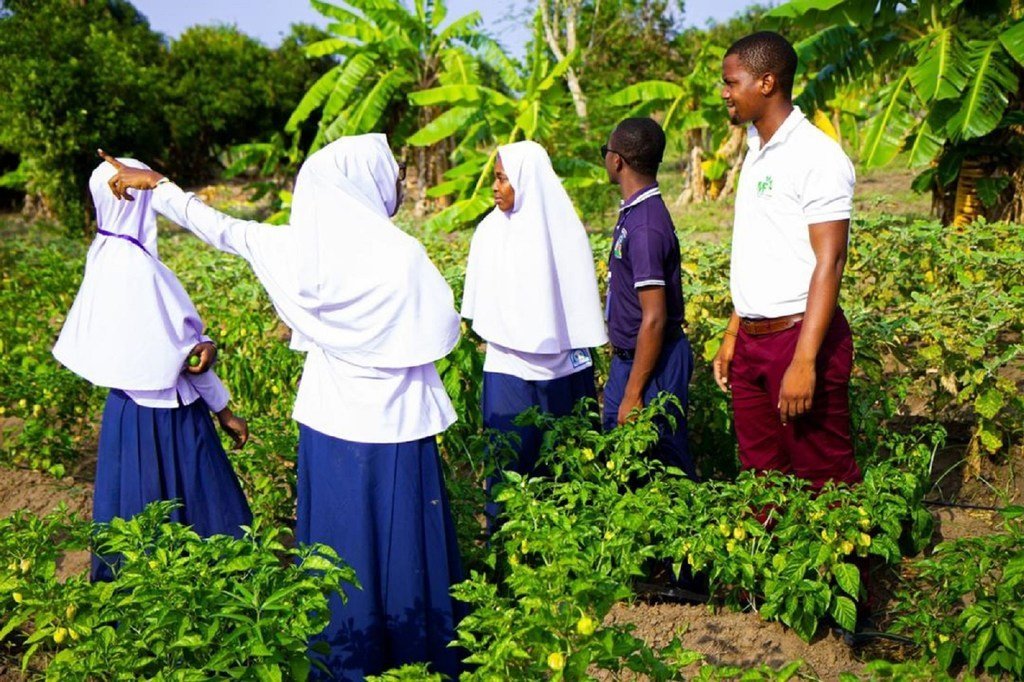 Wanafunzi nchini Tanzania wanaohudhuria darasa la kilimo Wanafunzi nchini Tanzania wanaohudhuria darasa la kilimo