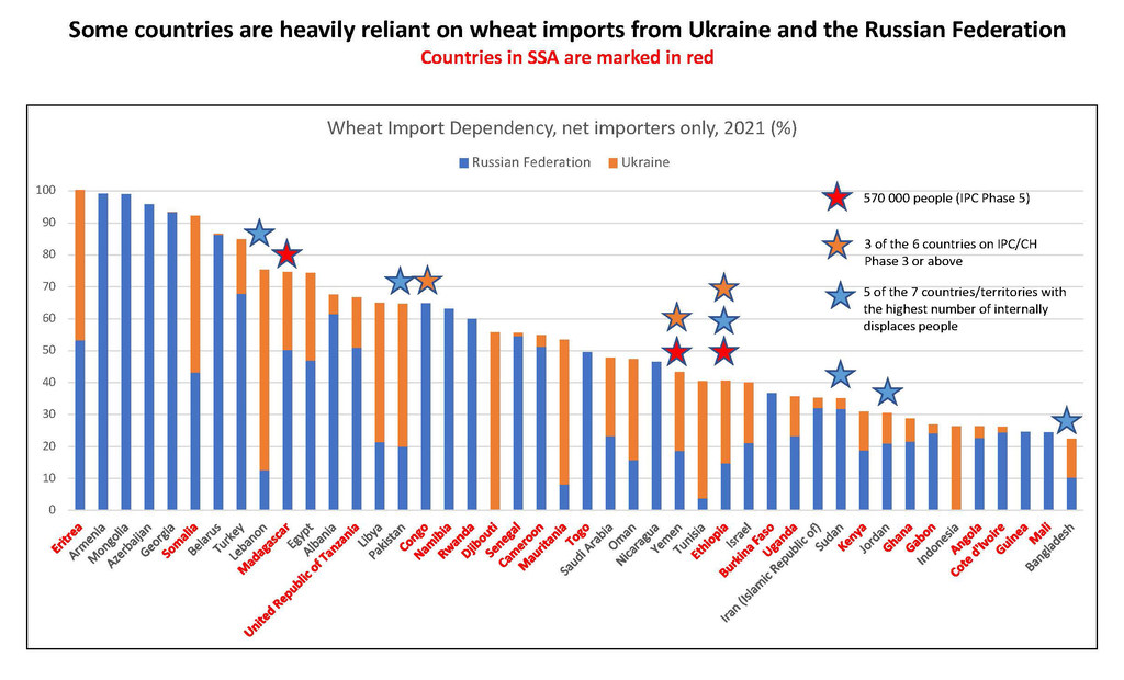 Starred countries are import dependent on food markets from Ukraine and Russia.