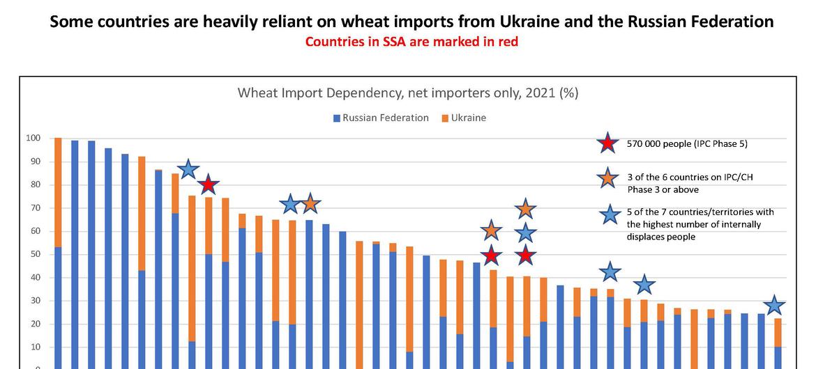 चिन्हित देश, खाद्य बाज़ारों से आयात के लिये, यूक्रेन व रूस पर निर्भर हैं. 