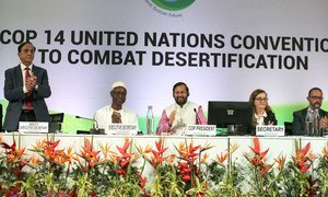 Closing plenary meeting of the UN Convention to Combat Desertification COP14 in New Delhi, India, where nearly 9000 participants from all over the world took part.