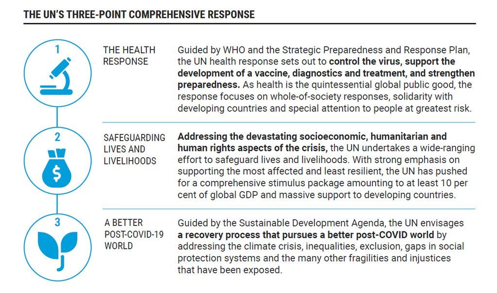 United Nations System Comprehensive Three-point  Response to Covid-19