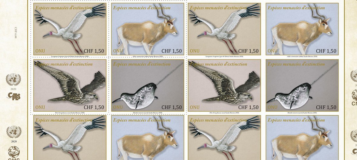 联合国发行濒危迁徙物种邮票
