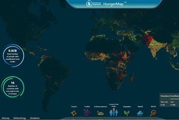 Cette carte interactive utilise des mesures en temps réel pour identifier les zones du monde les plus touchées par la faim