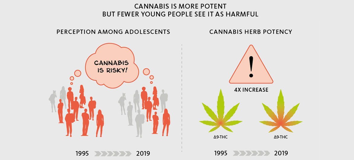 Rapport mondial sur les drogues 2021.