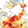 Июньские температуры в 2020 году Сибири были гораздо выше нормы.