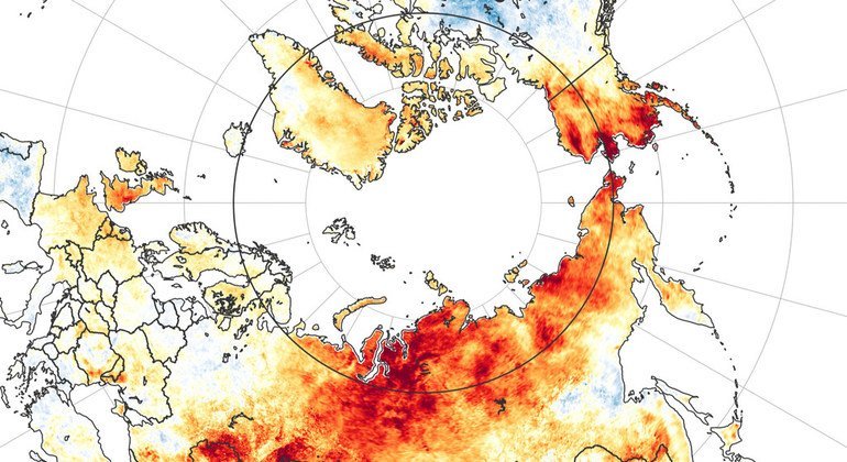 Las temperaturas de Siberia en junio de 2020 fueron las más cálidas en casi 20 años. 