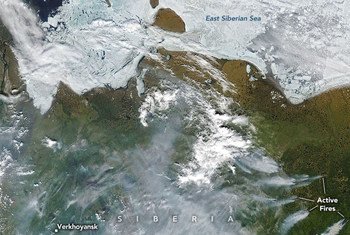 Sur cette image satellite, des feux de forêts affectent une partie de la Sibérie. 