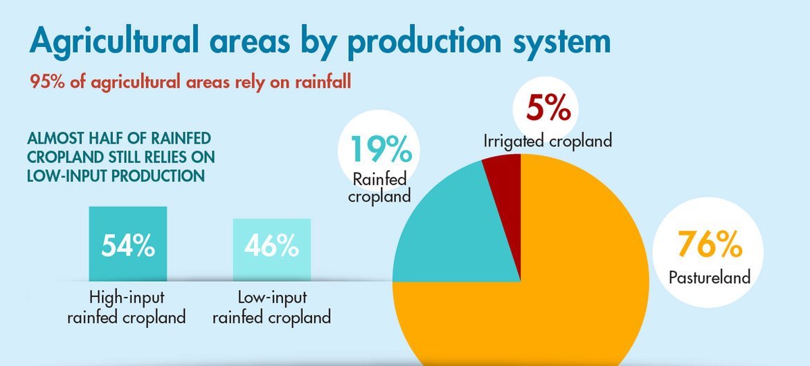 Agricultural areas by production system.