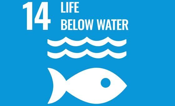 SDG Goal 14: Life Below Water.