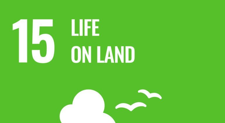 SDG Goal 15: Life on Land.
