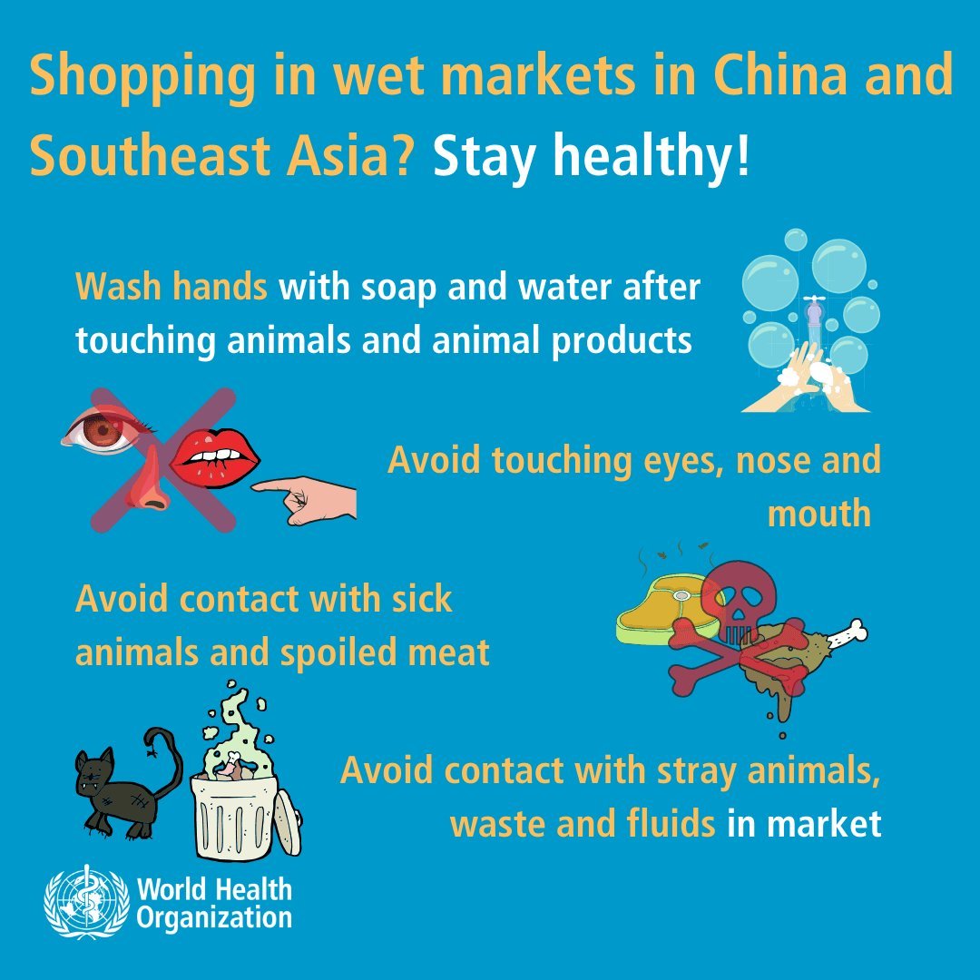 World Health Organization infographic advising the public to stay healthy when shopping in wet markets by practicing hand washing, avoiding touching face, and not handling sick animals or spoiled meat.