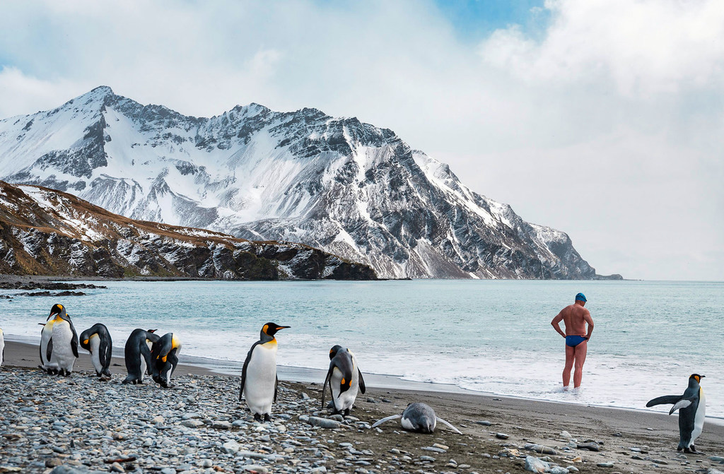 Un hombre en bañador se encuentra en una playa de la Antártida, rodeado por una colonia de pingüinos rey, con montañas nevadas al fondo.