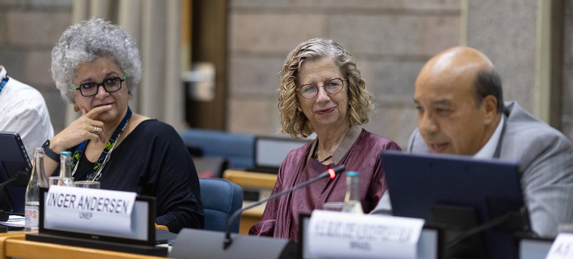 Izabella Teireira e Inger Andersen em reunião do Painel Internacional de Recursos