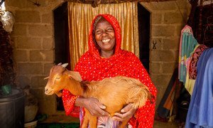 Zara Bulama carries one of the goats she received from FAO in Gongulong, Maiduguri, Nigeria, in June 2021.