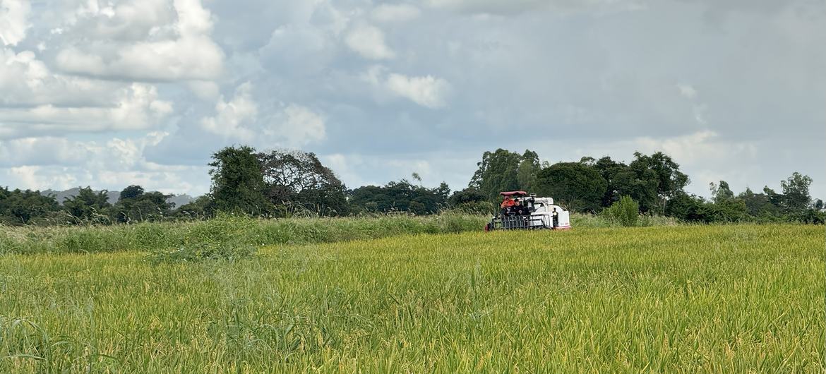 Imposto sobre a Propriedade Territorial Rural (ITR) atualmente arrecada o equivalente a apenas 0,03% do PIB brasileiro