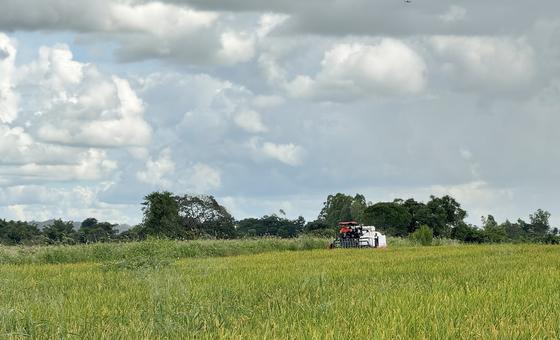 Imposto sobre a Propriedade Territorial Rural (ITR) atualmente arrecada o equivalente a apenas 0,03% do PIB brasileiro
