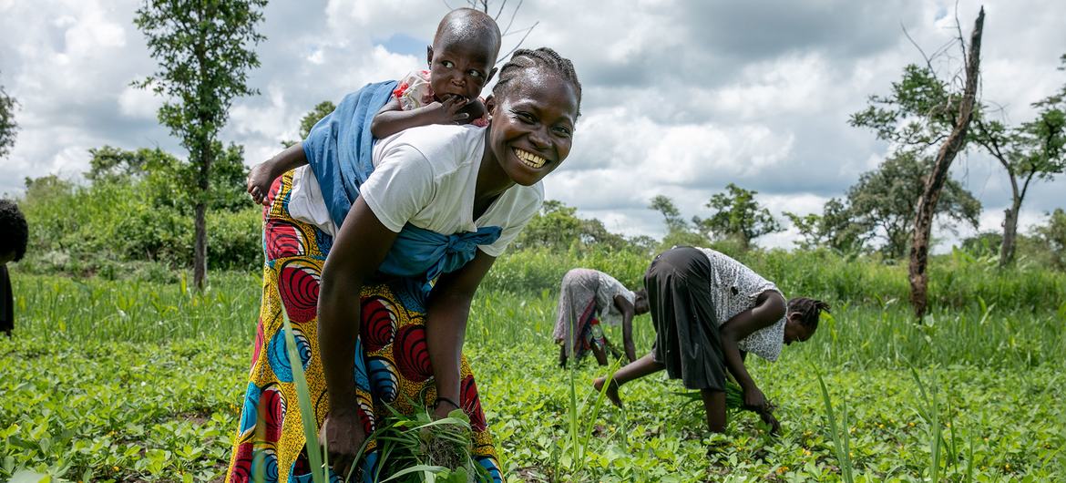 تدعم الأمم المتحدة المزارعين في جنوب السودان لضمان حصول أسرهم على ما يكفي من الطعام.