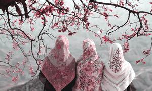 Wearing a hijab in public is mandatory for women in Iran.