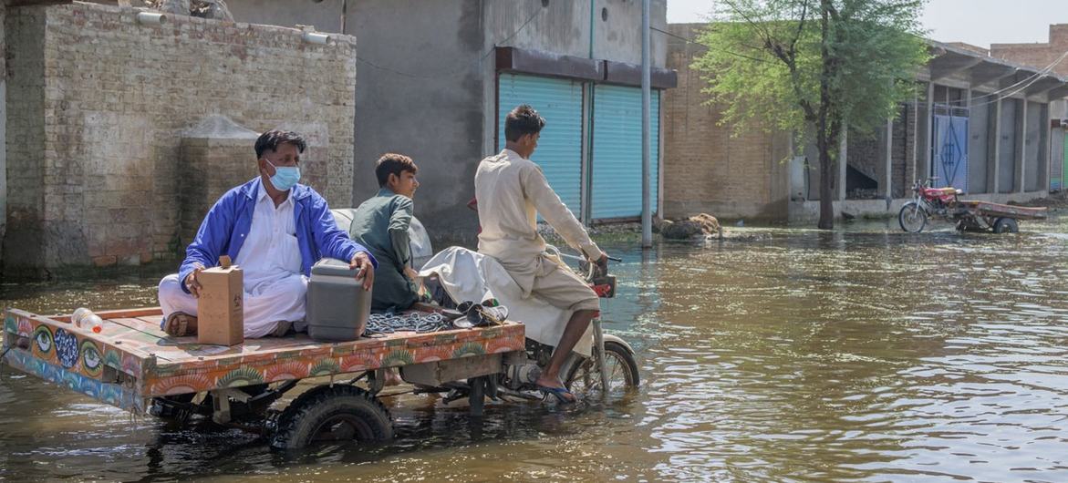 पाकिस्तान के सिंध प्रांत में, स्वास्थ्यकर्मी, बाढ़ प्रभावितों तक मदद पहुँचाने के प्रयासों में.