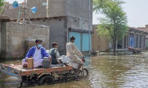 पाकिस्तान के सिन्ध प्रान्त में, स्वास्थ्यकर्मी, बाढ़ प्रभावितों तक मदद पहुँचाने के प्रयास.