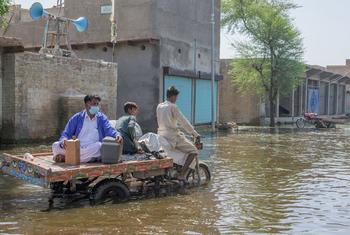 عمال الرعاية الصحية في إقليم السند في باكستان يتنقلون في القرى التي غمرتها الفيضانات ويعبرون الجسور المكسورة مع انتشار تفشي الأمراض.